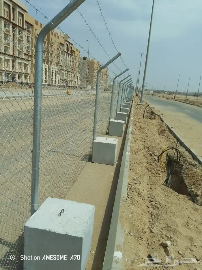 زراعه نخيل عربي واشنطني 8