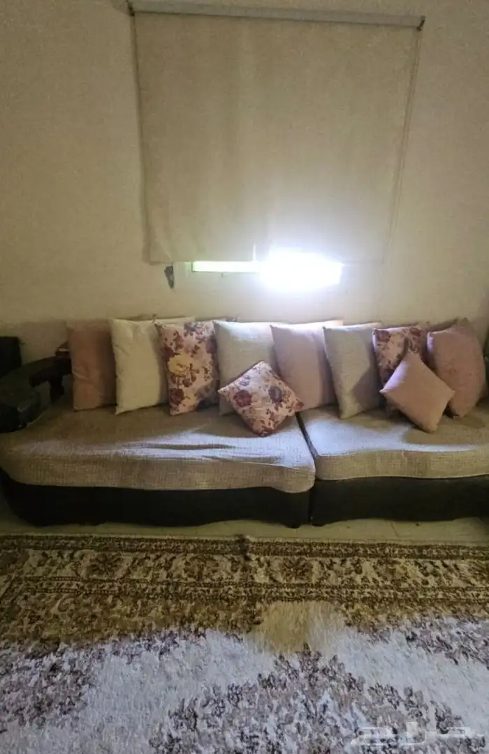 كنب يكفي 12شخص ب150 2