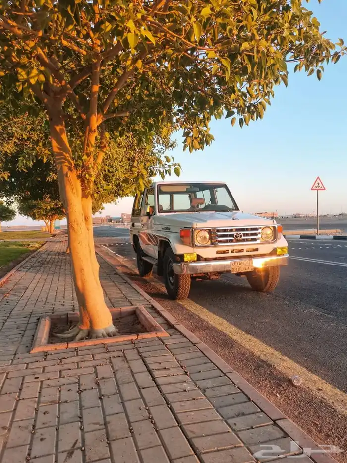 جيب ربع للبيع 0