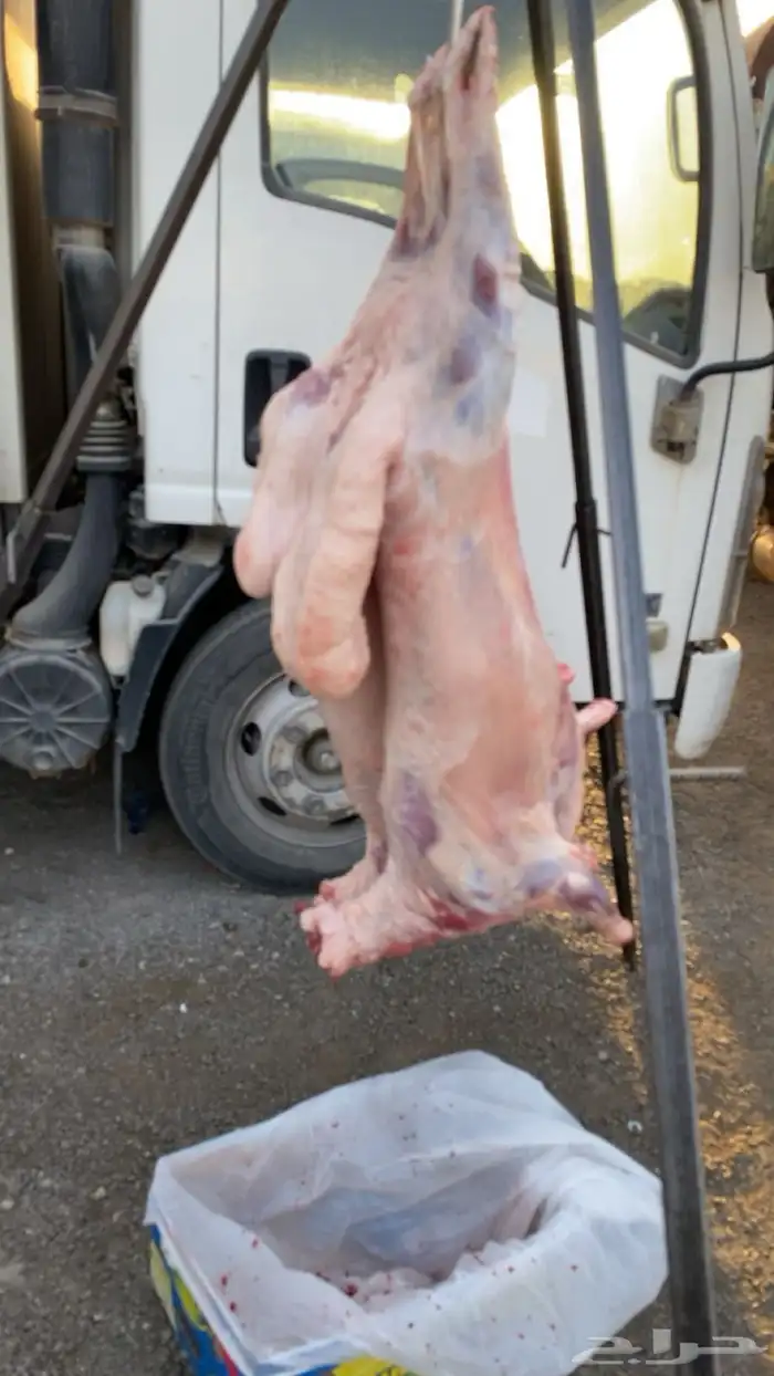 معلم مشاوي مشويات شوي شواه خارجي 0