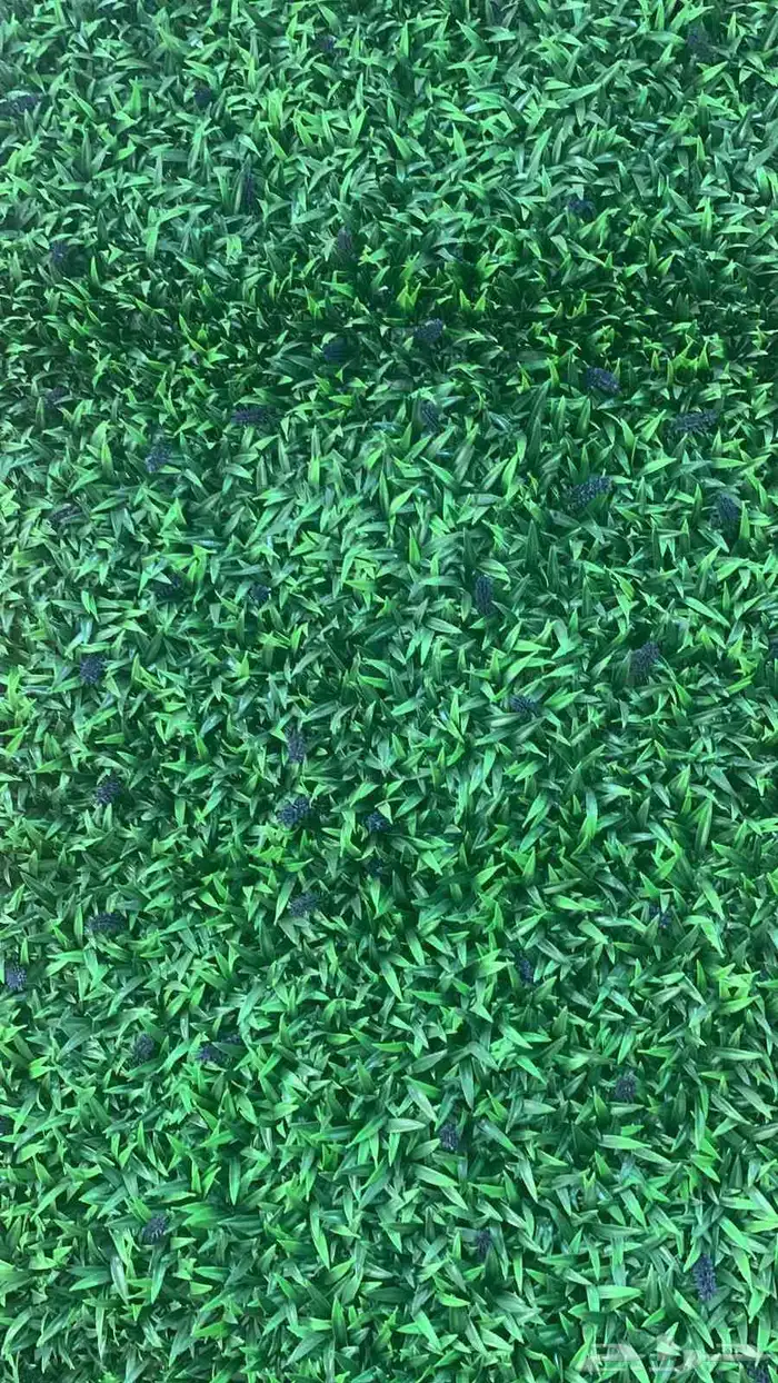 عشب جداري وبديل الخشب 2