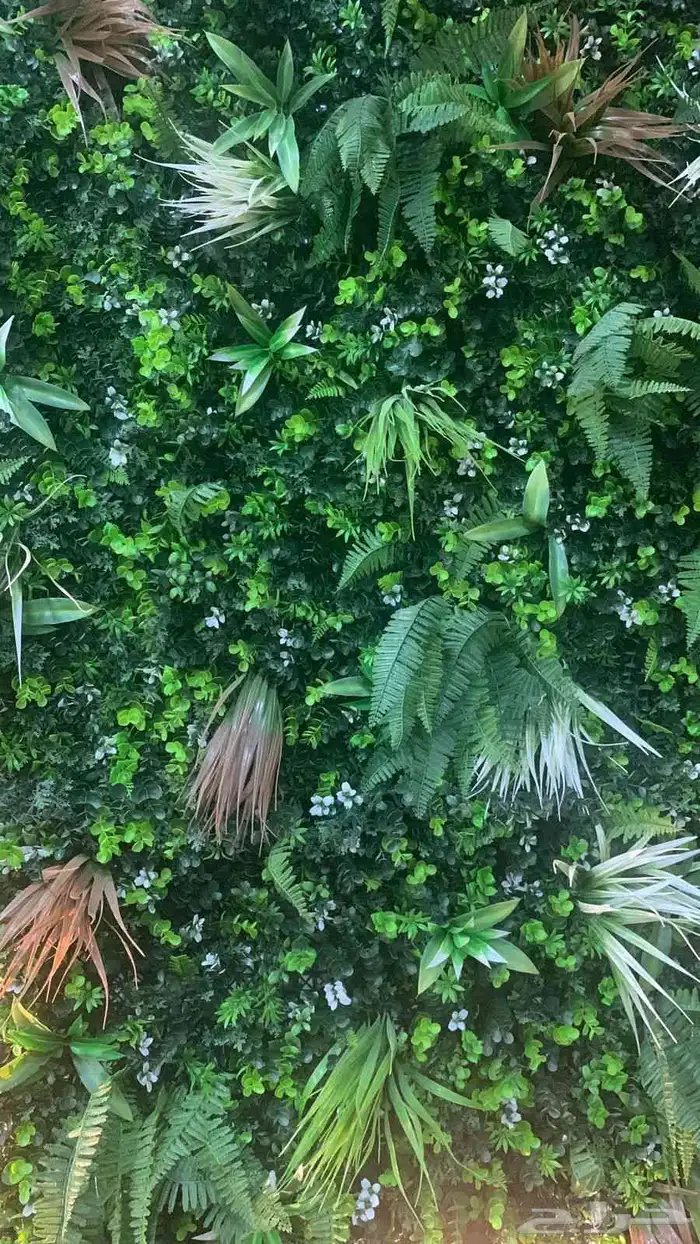 عشب جداري وبديل الخشب 4