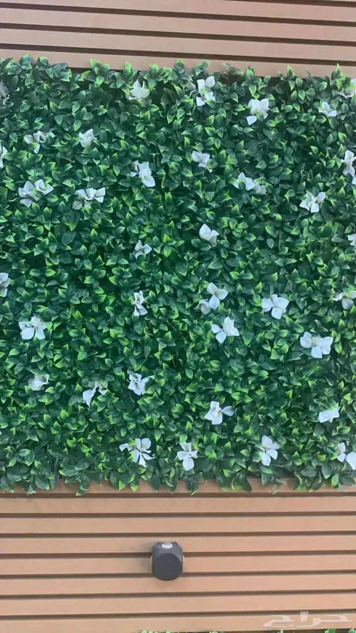 عشب جداري وبديل الخشب 5