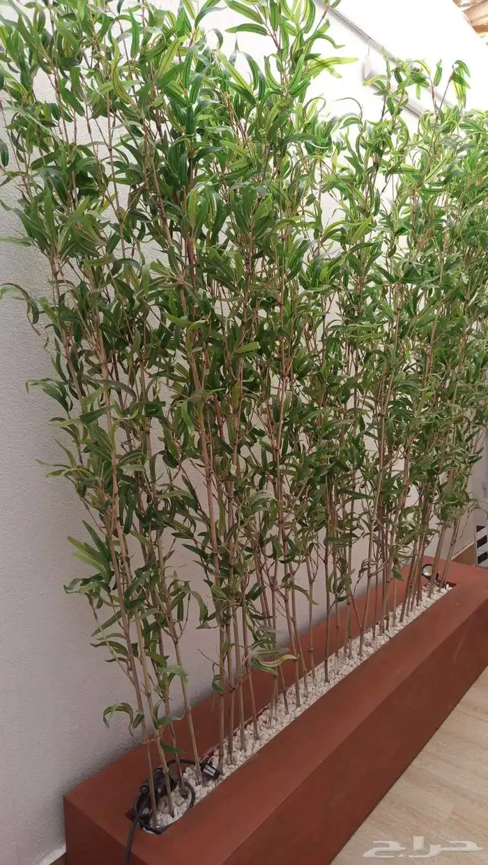 بارتشن من الخشب فيه اضاءة ديكورية..مع عجلات مخفية 3