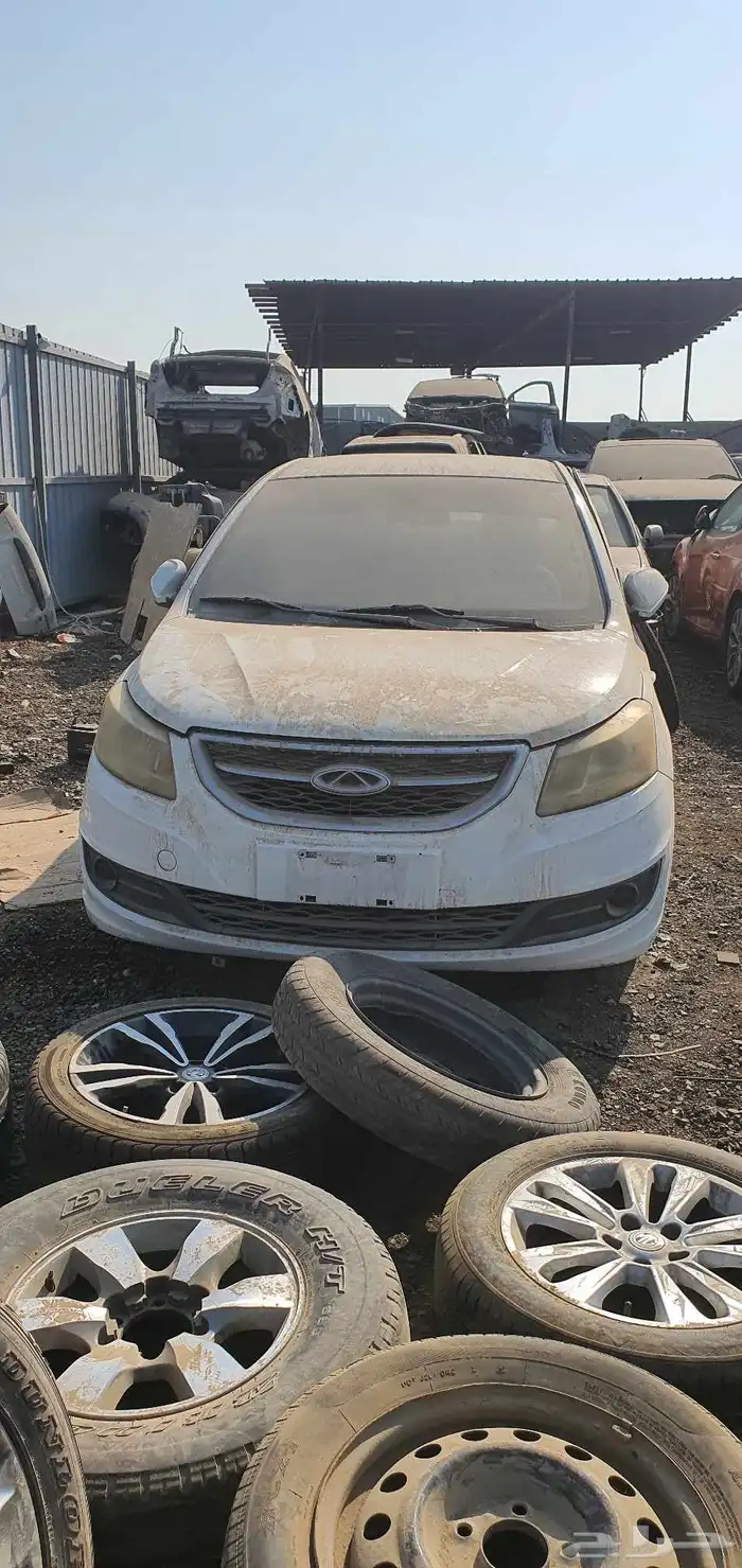 شيري اريزو3 2019 0