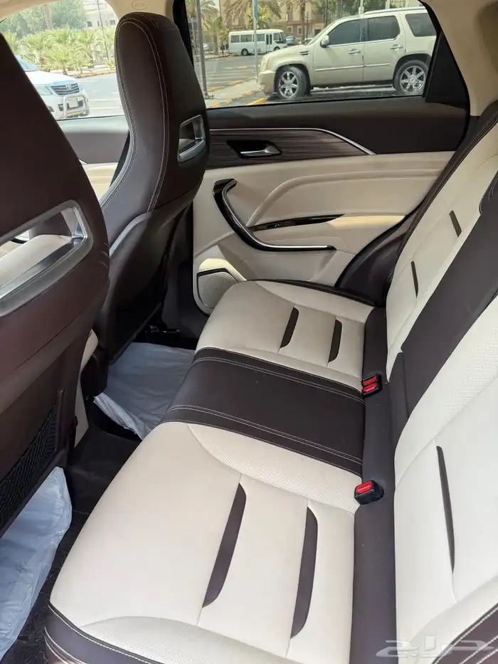 صيني فاول موديل 2022 6