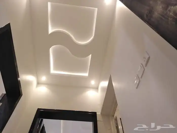 كهربائي وسباك مصري 1