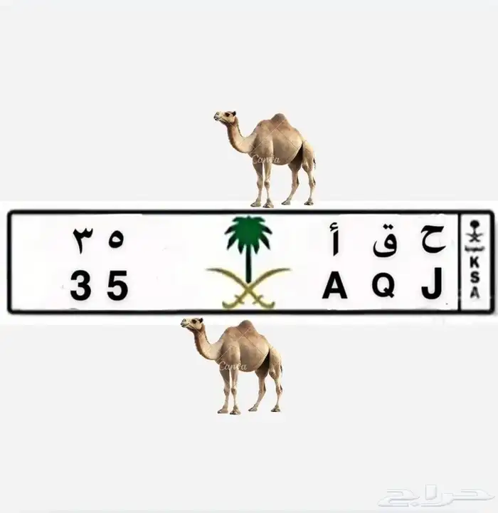 لوحة مميزة لهل البل ( ح ق أ 35 ) 0