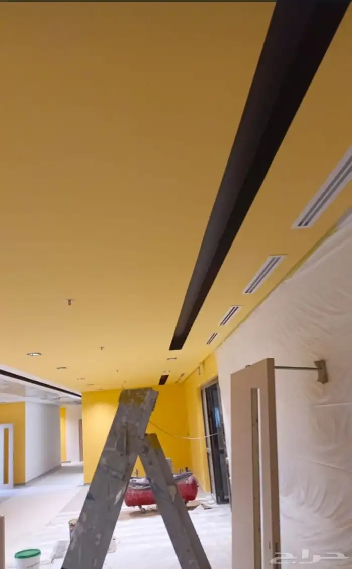 ملم بويا باكستاني 3