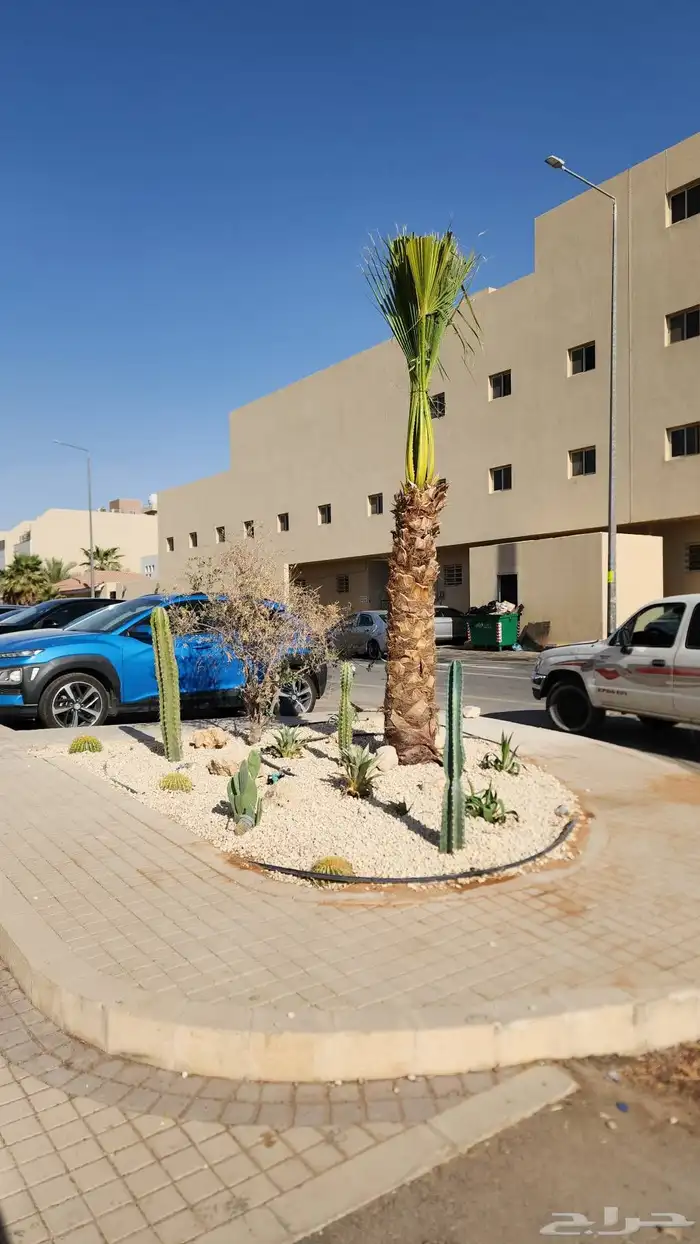 تنسيق حدائق وصيانتها وبيع وتوريد الثيل الطبيعي 8