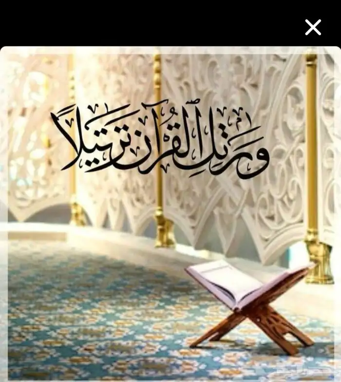 محفظه قران كريم اونلاين مجود للأطفال حفظ تام داخل الحلقه 0