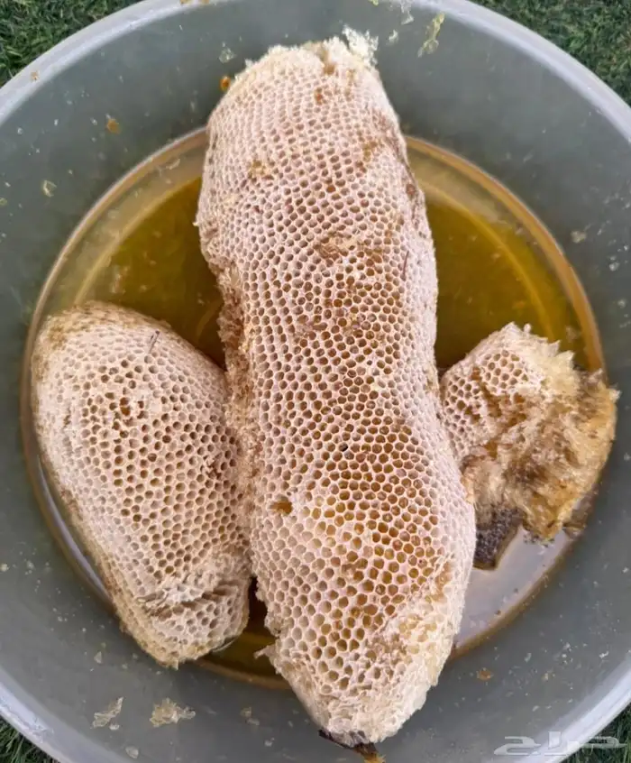 عسل سدر اندنوسي 350 ريال 0