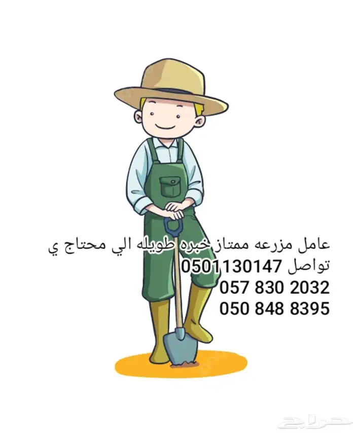 الي محتاج مزارع أكثر من 20سنه خبره 0