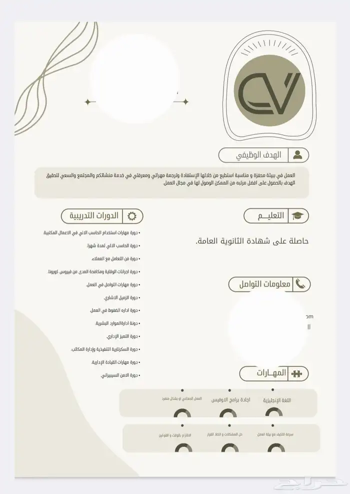سيرة ذاتية ATS 19