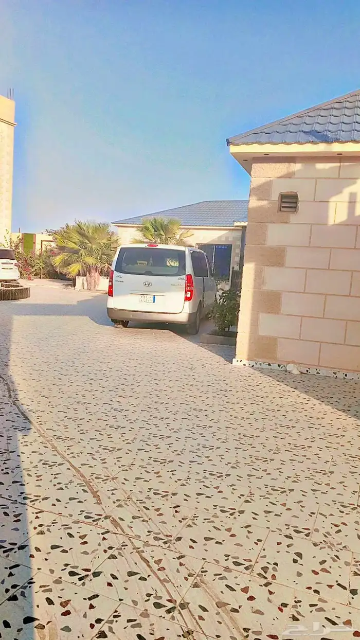 عرطه مستخدم نظيف 1