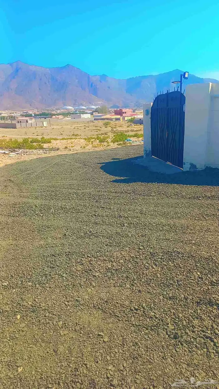 اسفلت مبشور توريد تنفيذ قلابات سكس تريلات شيولات تريلات بكلي 7