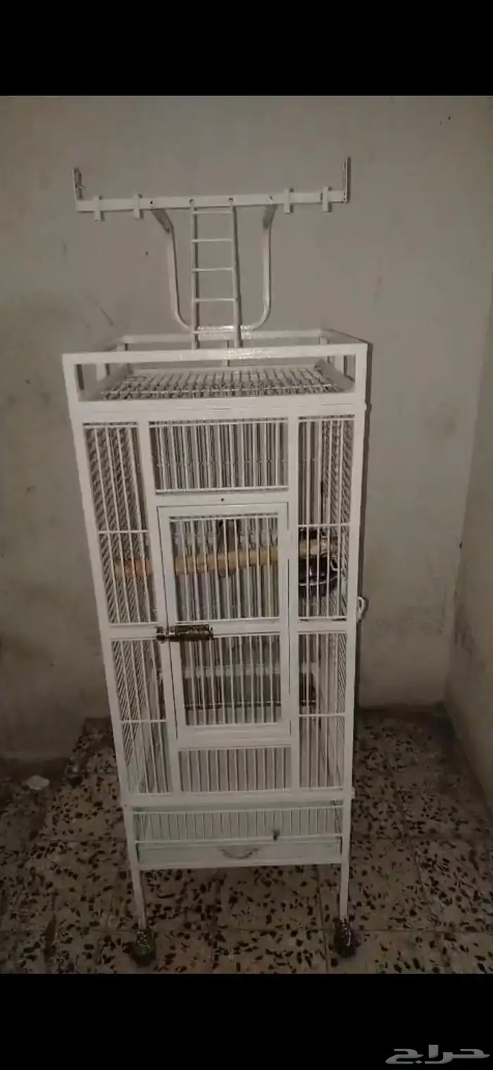 قفص ببغاء للبيع 0