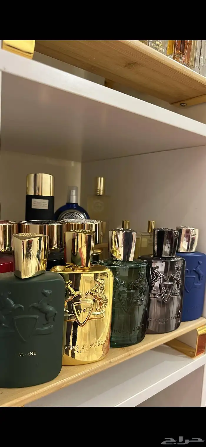 تساتر دي مارلي بسعر جمله 0