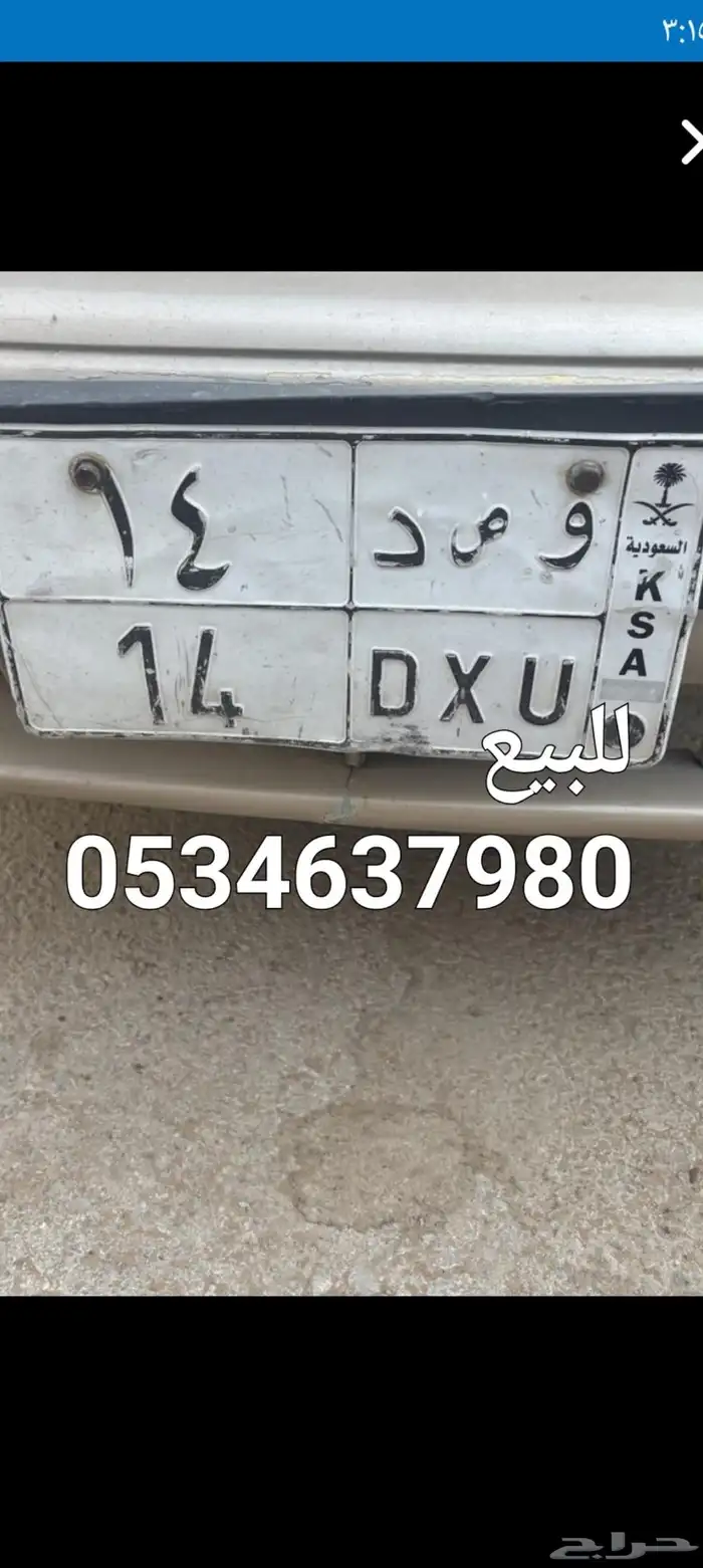 للبيع عدت لوحات مميزه 3