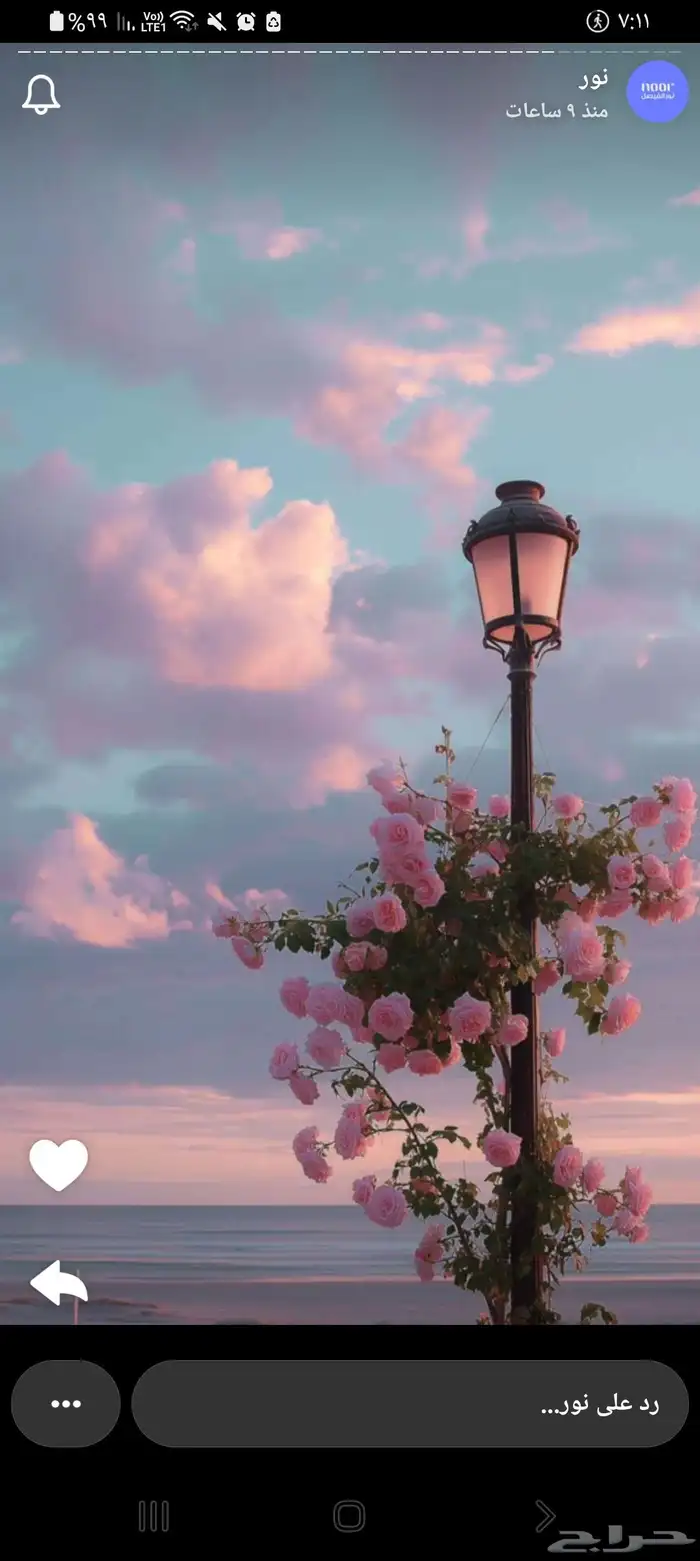 مطلوب شقة بشكل عاجل 0