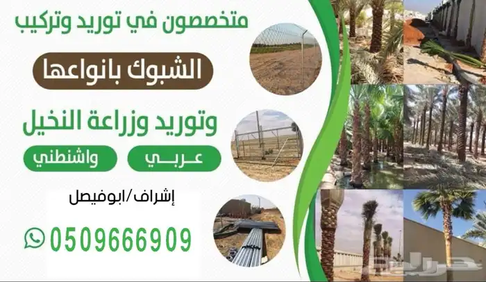 تركيب الشبوك وزراعة النخيل 3