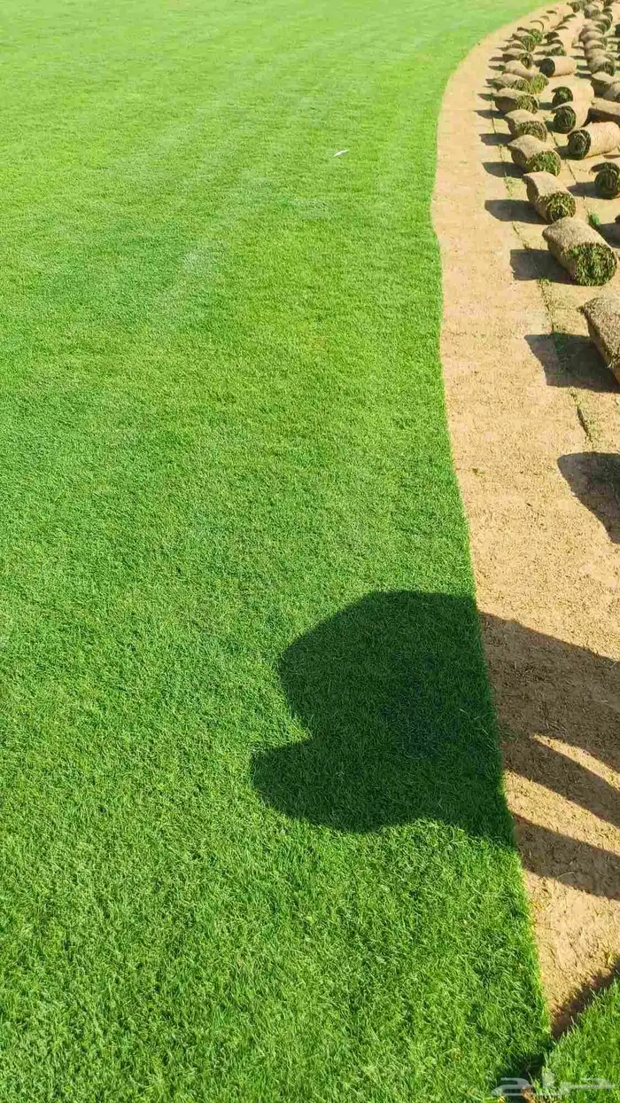 مسطحات خضراء 3