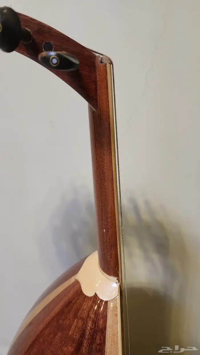 عود زرياب 6