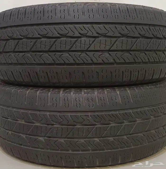 كفرين فلشنر 17 65 265 0