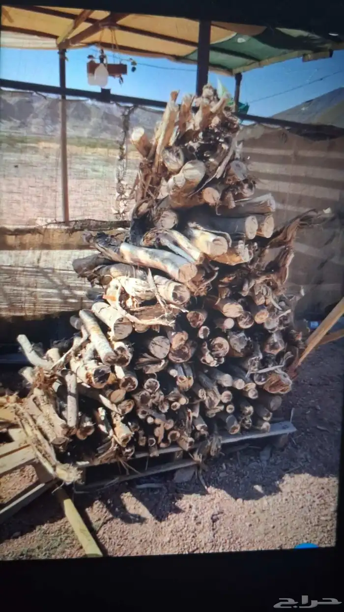 حطب مستورد 0