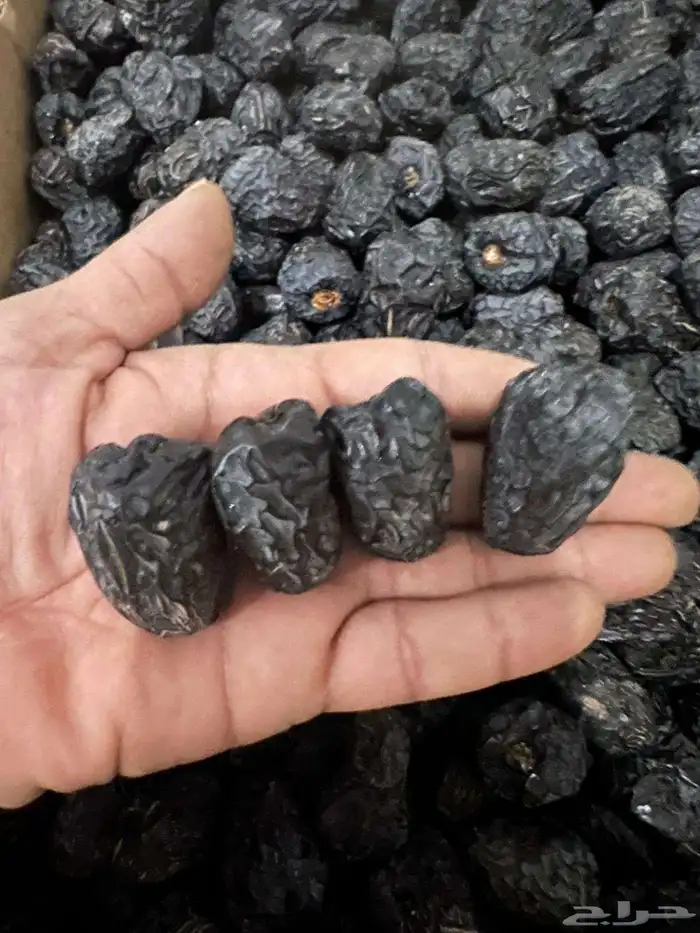 يوجد الدينا عجوه وصفاوي 0