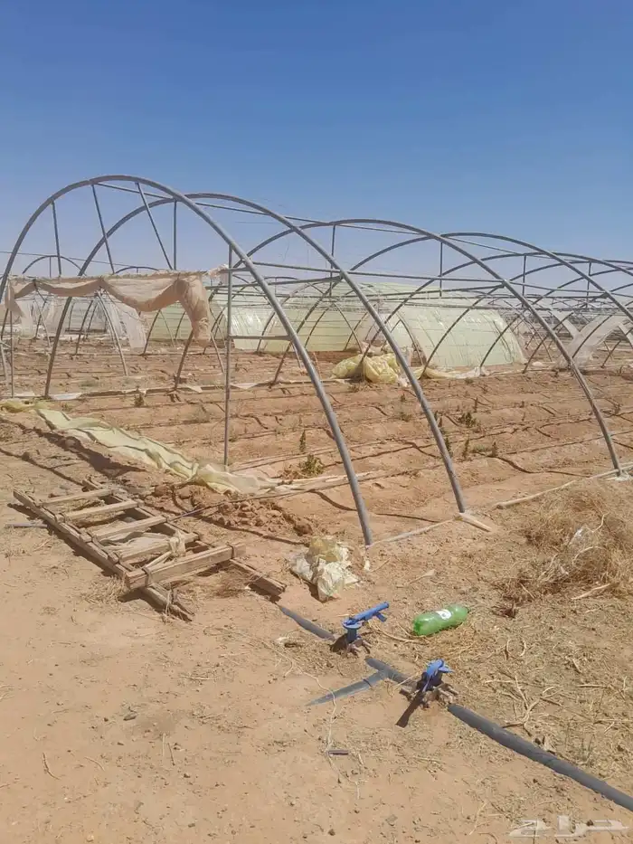 بيوت محميه مجلفن فرنسي 0