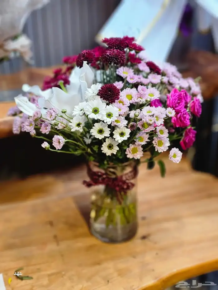 ورود طبيعيه با منسبه الافتاتح تخفيض 40 100 لا مده اسبوع 3