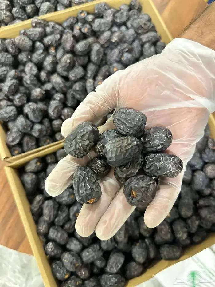 عجوة المدينة الفاخرة جامبو رقم (1) 1