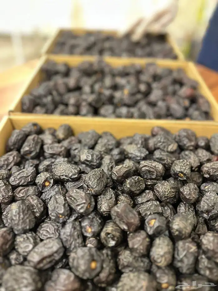 عجوة المدينة الفاخرة جامبو رقم (1) 0