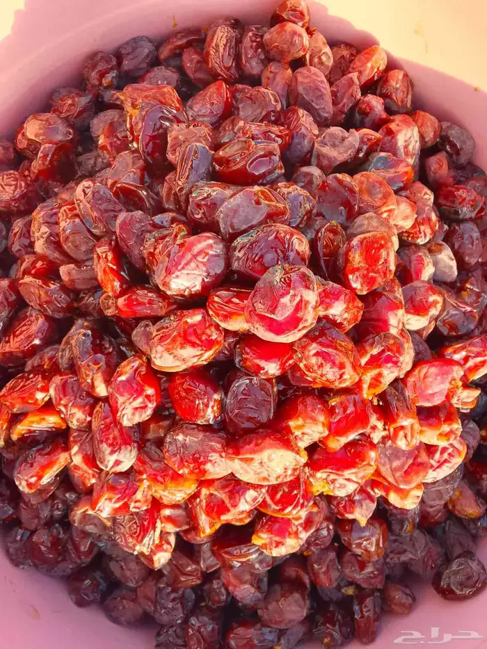 تمور حائل الفاخره 0