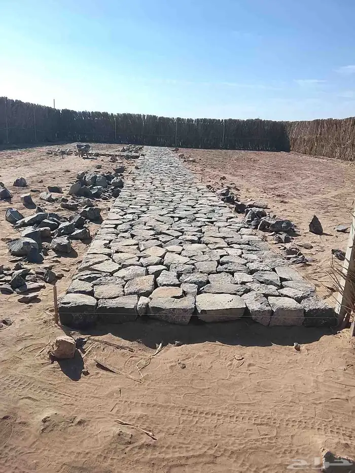 معلم حجر ومقاول المدينه 2