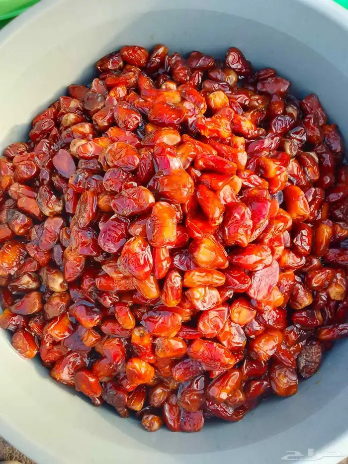 تمور حائل الفاخره 8