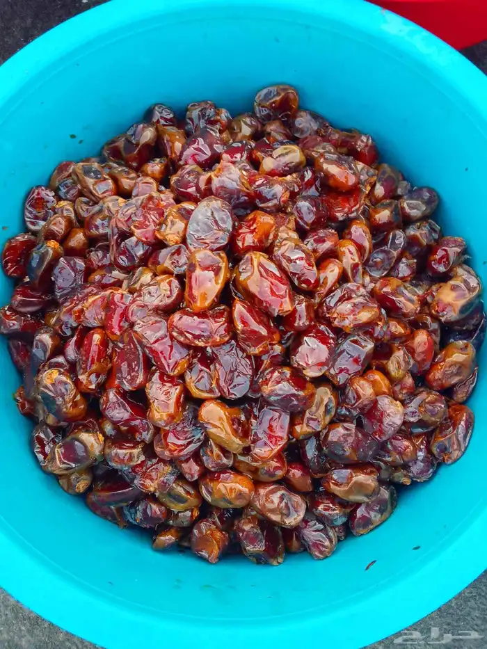 تمور حائل الفاخره 5