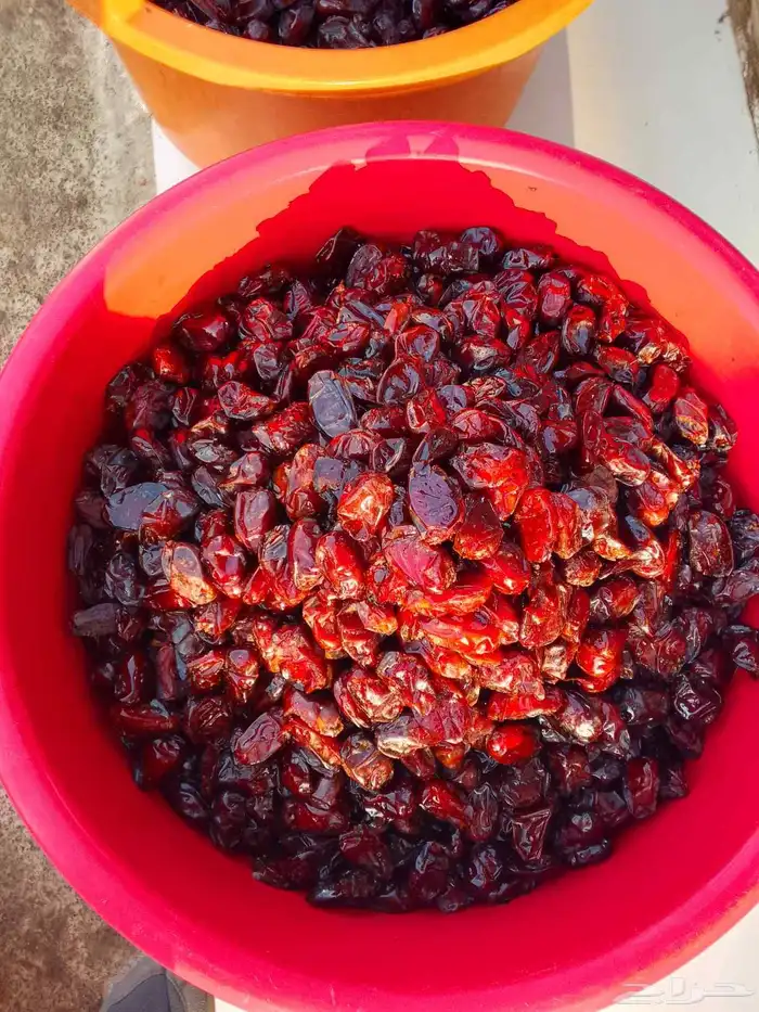 تمور حائل الفاخره 6