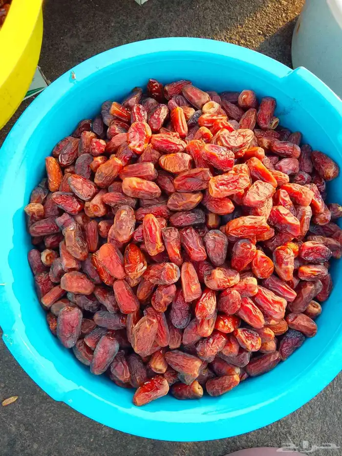 تمور حائل الفاخره 3