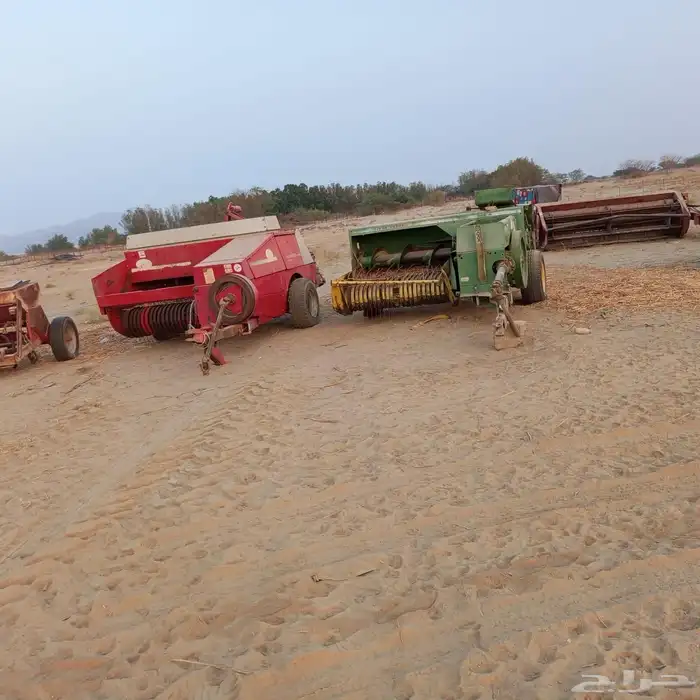 الليث غميقه 5