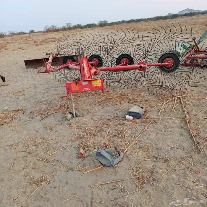 الليث غميقه 8