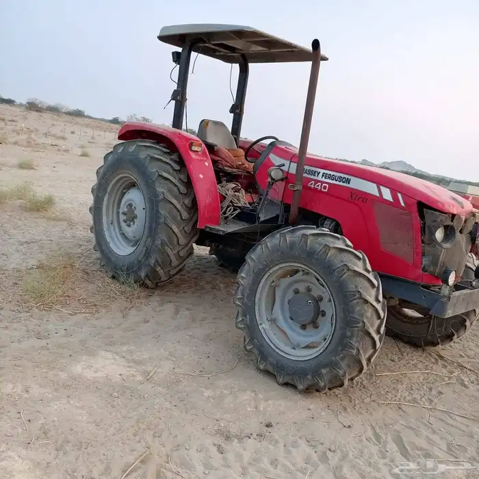 الليث غميقه 1