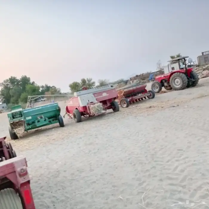 الليث غميقه 3