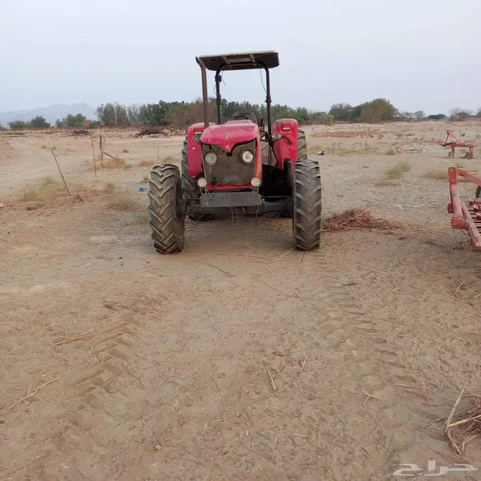 الليث غميقه 0