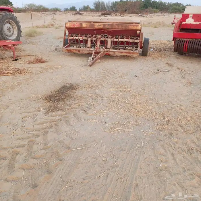 الليث غميقه 7