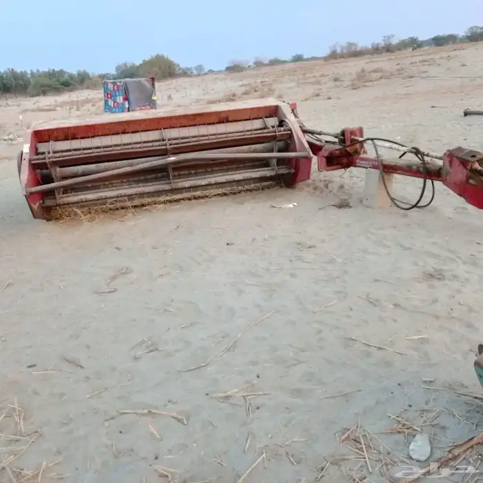 الليث غميقه 4