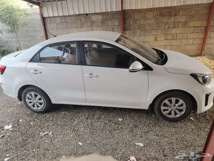 مفحوص مجدد بدي وكاله كامل قزازت الوكاله ثاني مالك ممشا 131 1