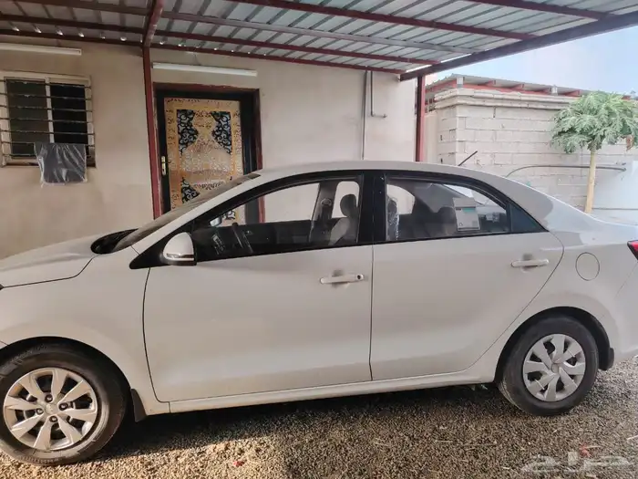 مفحوص مجدد بدي وكاله كامل قزازت الوكاله ثاني مالك ممشا 131 3