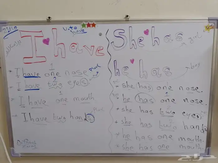 معلم انجليزي لمراجعة الاختبارات مع التأسيس والمتابعة لكل الم 0